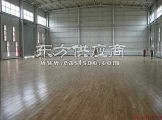 木地板 運動木地板廠家 排球場運動木地板圖片