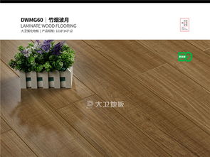 鑒賞 大衛(wèi)地板 dwmg60 竹煙波月