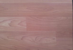 木紋運動地板 pvc木紋卷材地膠工程價格 廠家 圖片