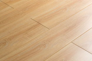 探索e802科利達地板 品質與美學的完美融合